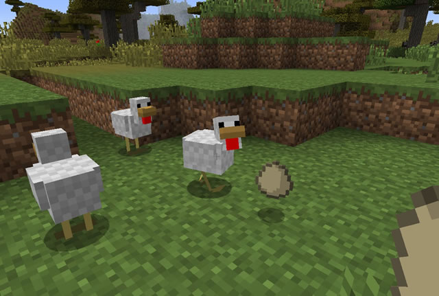 Курицы - источник яйца в Майнкрафте